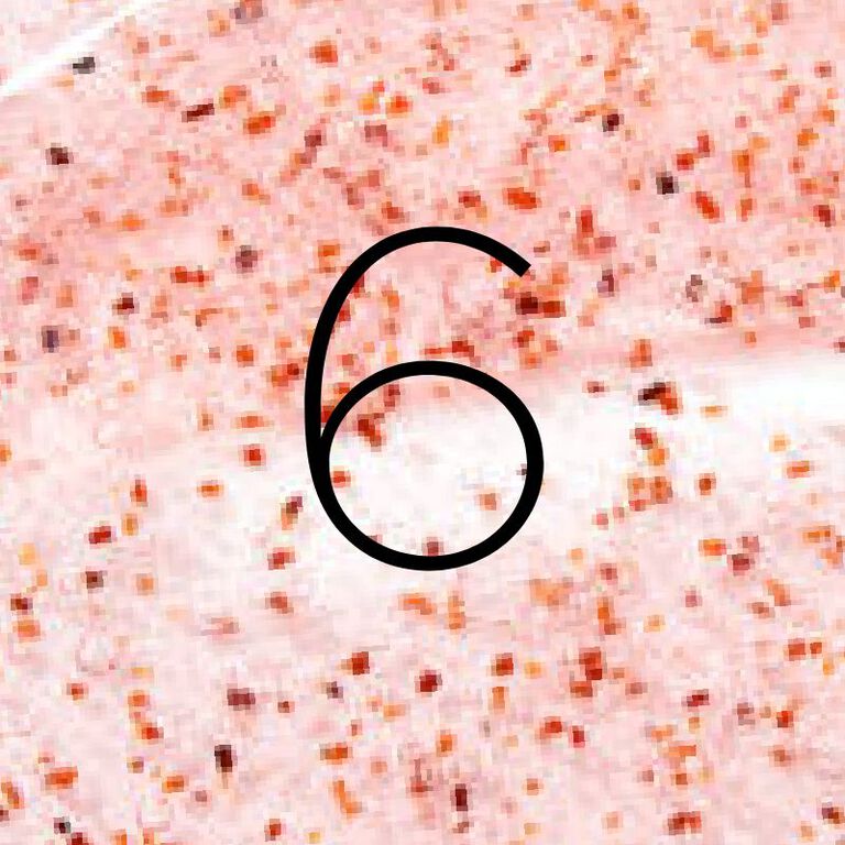 Image without a name 