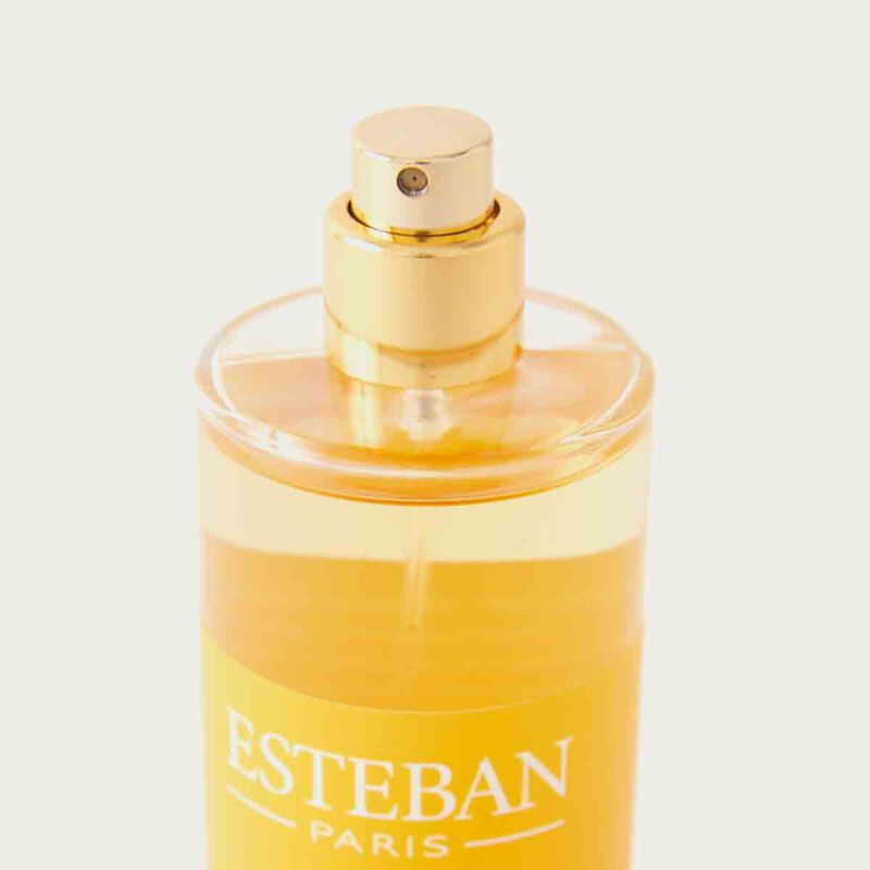 استيبان باريس بخاخ معطر للغرفة بعطر العنبر 100مل