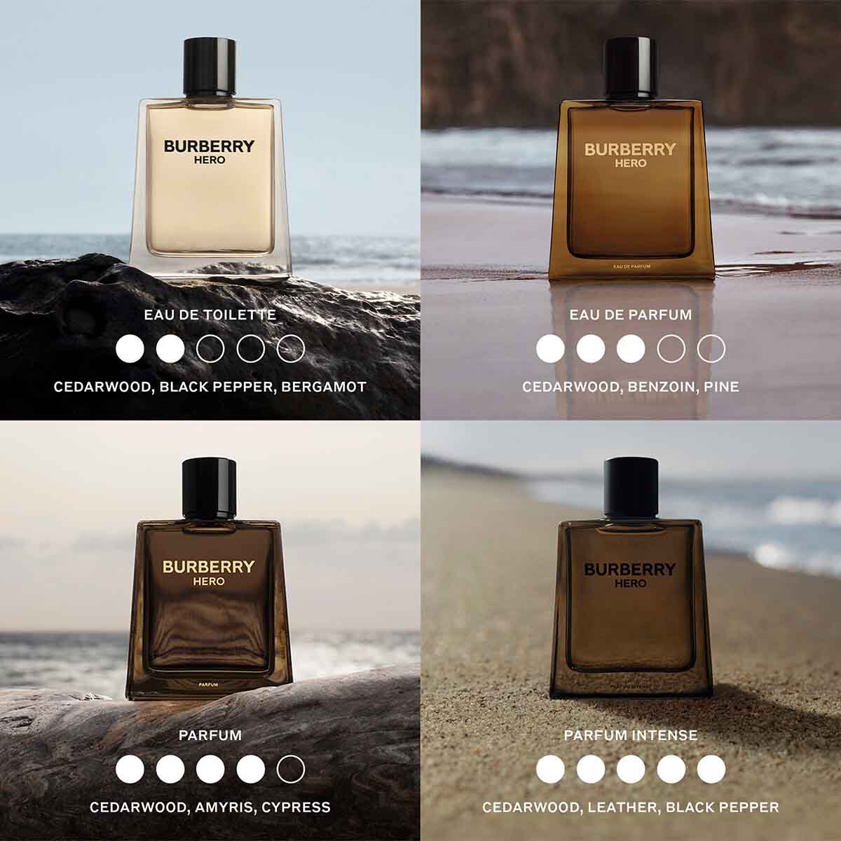 香水(男性用) BURBERRY HERO INTENSE 100ml Burberry Hero Intense