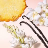 faces ماي وي صني فانيلا