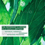 جل التنظيف المنقي 390 مل faces جل التنظيف المنقي 390 مل