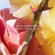 La Petite Robe Noire faces la petite robe noire