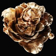 عطر الشعر سانتال رويا 75مل faces عطر الشعر سانتال رويا 75مل