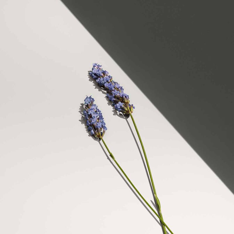 كالفين كلاين عطر ديفي أو دو تواليت للرجال