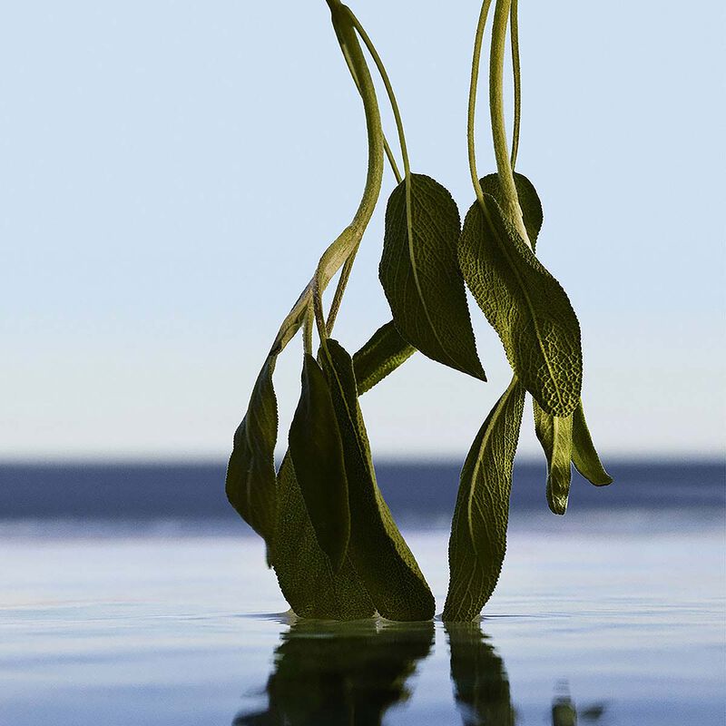 hugo boss boss bottled infinite eau de parfum 50ml