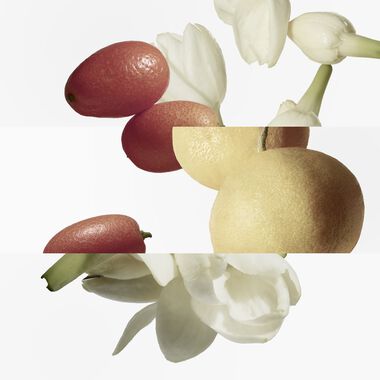 faces عطر لو جاردان دي مسيو لي أو دو تواليت