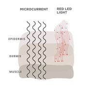 Level Up Microcurrent + Red LED Face & Neck Massager faces level up microcurrent red led face neck massager