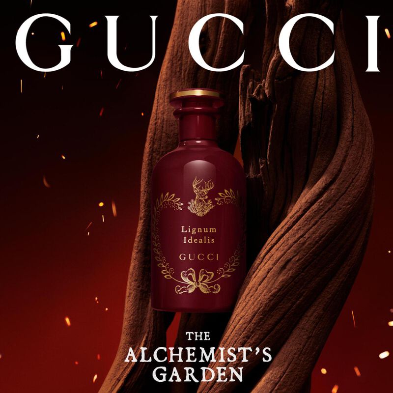 gucci alchemist's garden lignum idealis