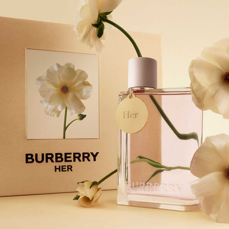 burberry her