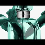 faces عطر انتينس أو دو برفان