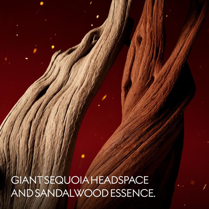 gucci alchemist's garden lignum idealis