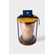 faces whispers of nectar