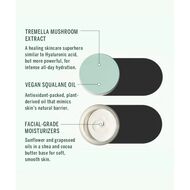 faces إن غرين زبدة الجسم الطبيعية النباتية