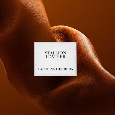 faces عطر ستاليون ليذر