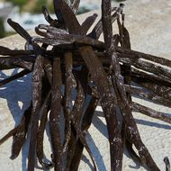 ماء عطر ديفوشن قابل لاعادة التعبئة faces ماء عطر ديفوشن قابل لاعادة التعبئة