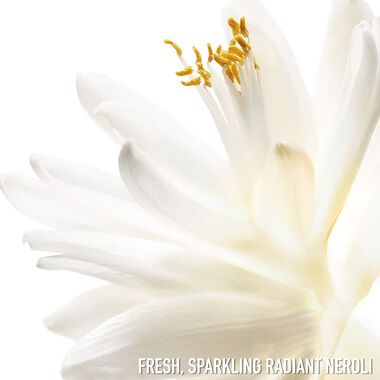 faces جادور  أو  دو تواليت