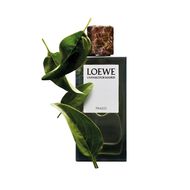 faces un paseo por madrid prado