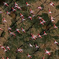 عطر روزا روسا أو دو تواليت 125مل faces عطر روزا روسا أو دو تواليت 125مل