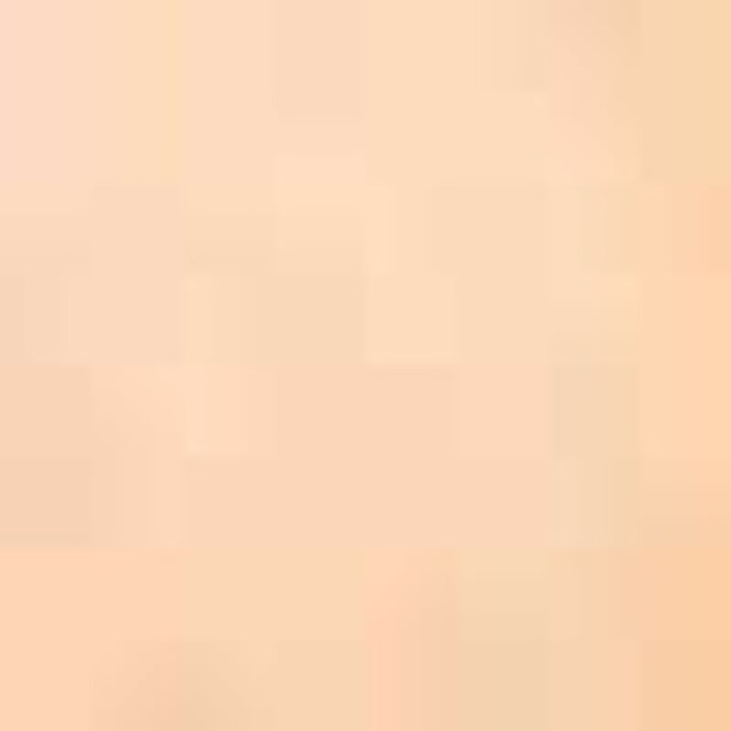 إستي لودر كريم أساس دابل وير ستاي إن بلايس بودرة غير لامع