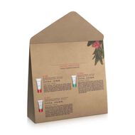 My Clarins Skin's Dream Team faces my clarins skin s dream team