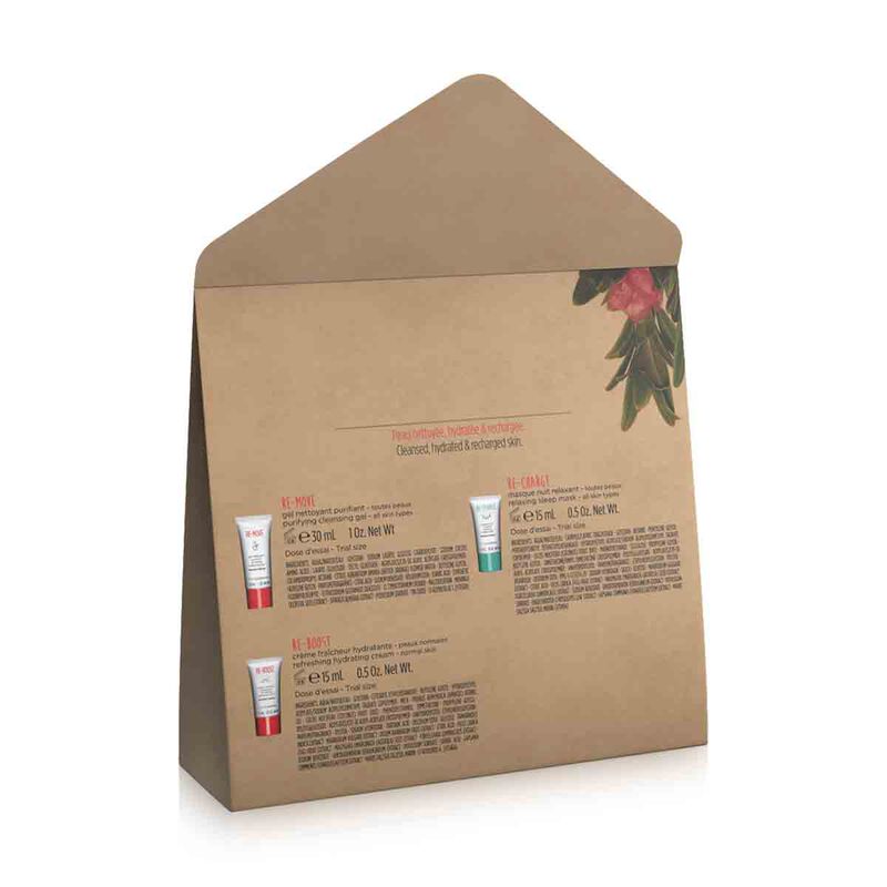 clarins my clarins skin's dream team