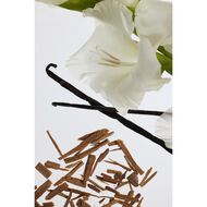 faces هيز بيور