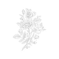 faces فان كليف آند آربلز روز روج ماء عطر 75 مل