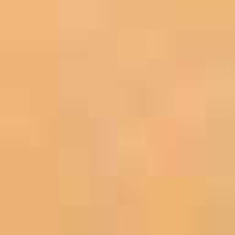 estee lauder double wear stayinplace matte powder foundation