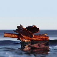 faces boss bottled infinite eau de parfum 50ml