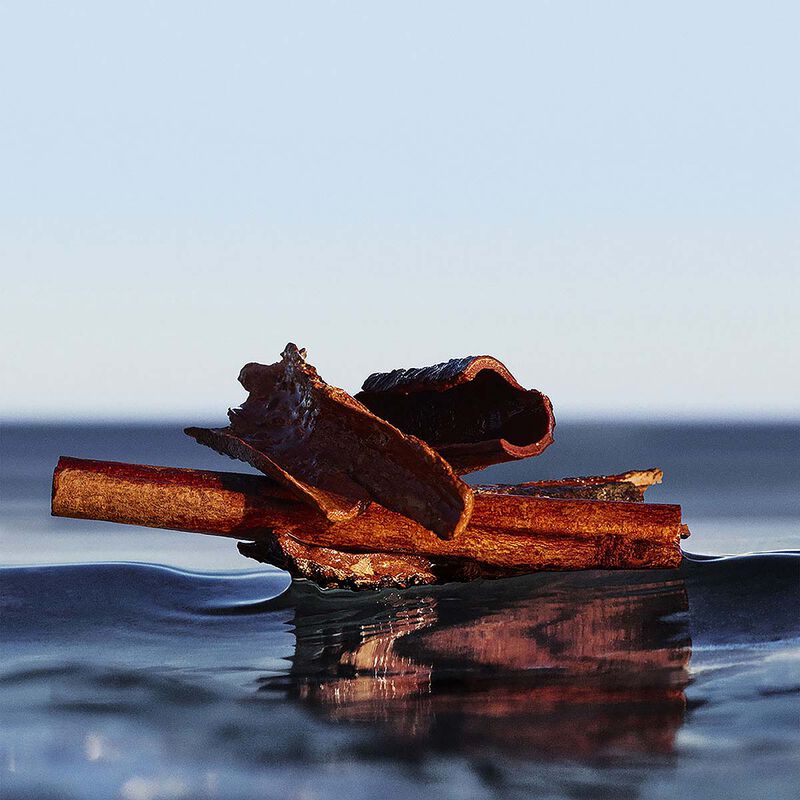 hugo boss boss bottled infinite eau de parfum 50ml