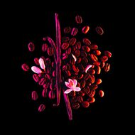 Black Opium Storm Illusion Summer Collector 50Ml faces black opium storm illusion summer collector 50ml