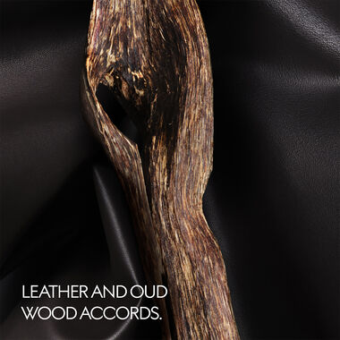 faces ذا ألكيميست جاردن ذا فويس أوف ذا سنيك