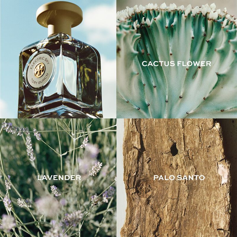 tory burch electric sky