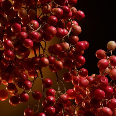 faces ذا ون إنتنس