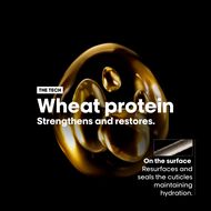 faces absolut repair ramadan duo