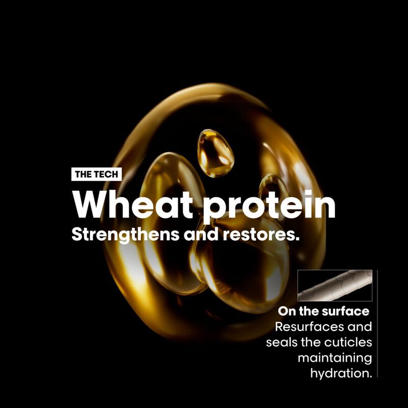 l'oreal professionnel absolut repair ramadan duo