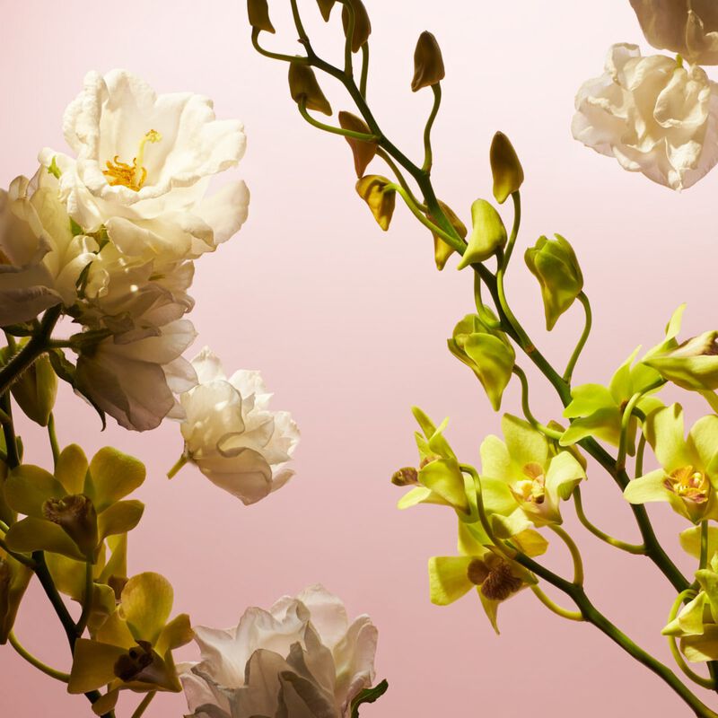 rituals fleurs de l&rsquo;himalaya travel