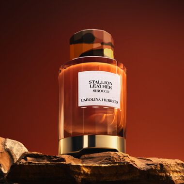 faces ستاليون ليذر سيروكو