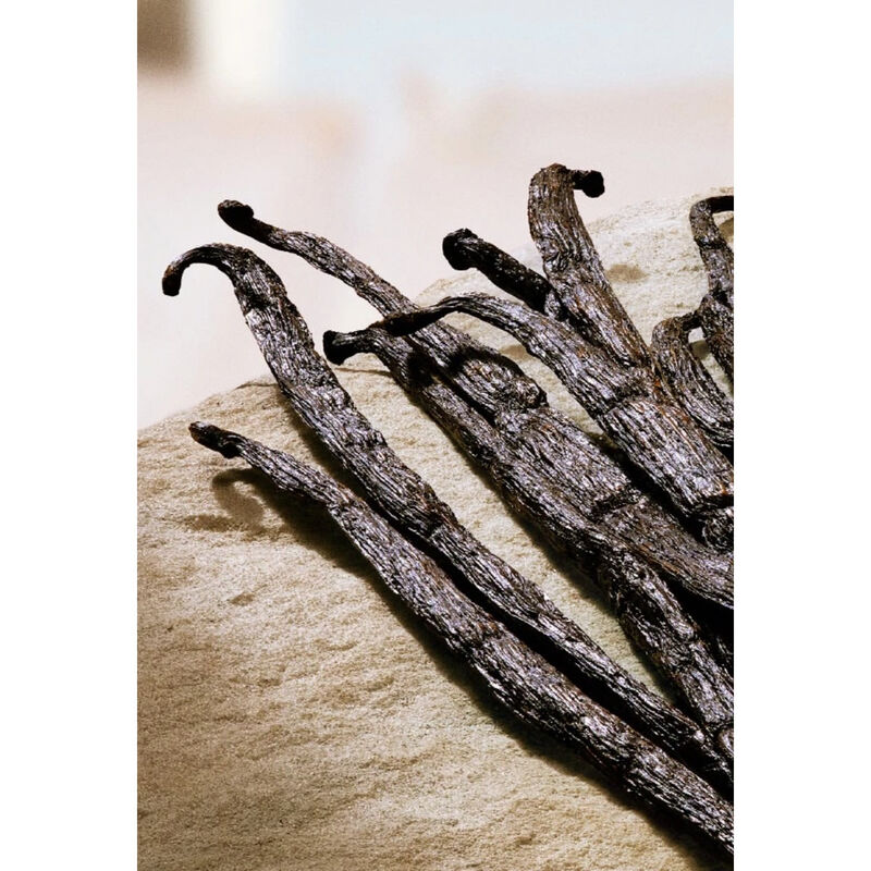 دولتشي أند غابانا ماء عطر ماي ديفوشن إينتنس