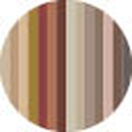 faces pro neon earth slim eyeshadow palette