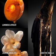 faces olymp a absolu parfum intense