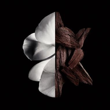 faces عطر جنتلمان جيڤنشي بوازيه