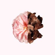 faces irresistible eau de parfum refillable