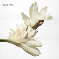 faces عطر تويلي ديرميس أو دو برفان