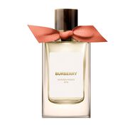 Garden Roses faces garden roses