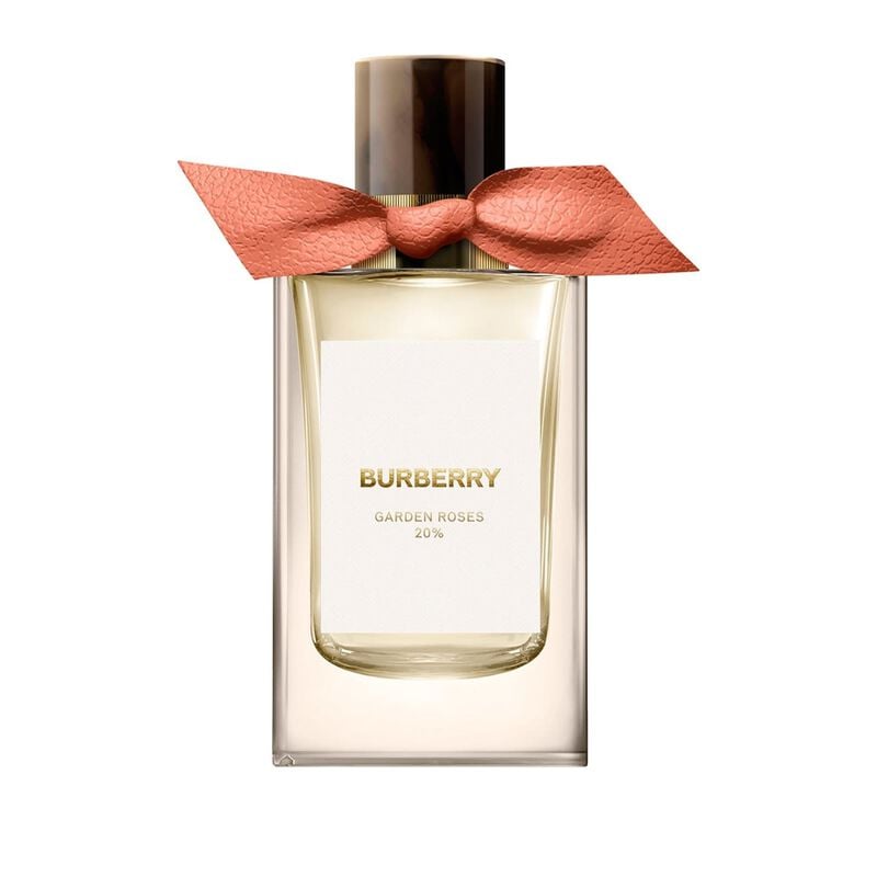 burberry garden roses