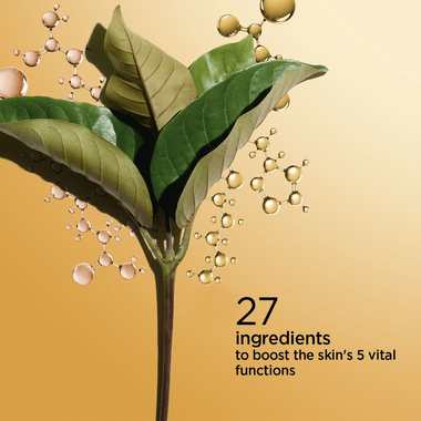 faces دبل سيروم