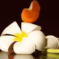 faces عطر ميوزكال فايبرايشنس