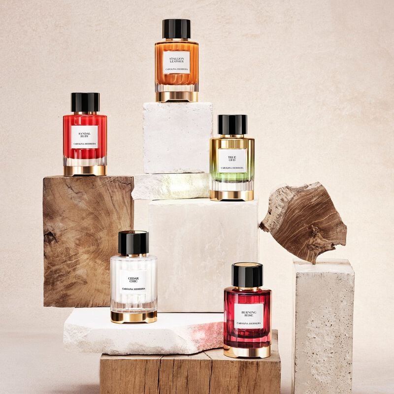 كارولينا هيريرا عطر ستاليون ليذر