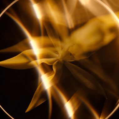 faces chanel sublimage l huile en gel de d maquillage مزيل الماكياج المثالي  ينظف وينعم